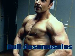 Bull_dosemuscles