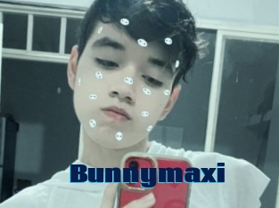 Bunnymaxi