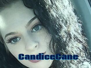 Candice_Cane