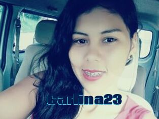 Carlina23