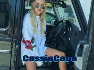 CassieCage