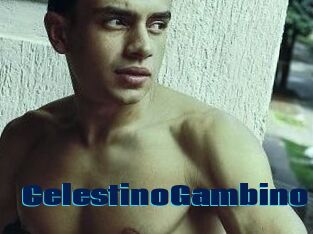 CelestinoGambino