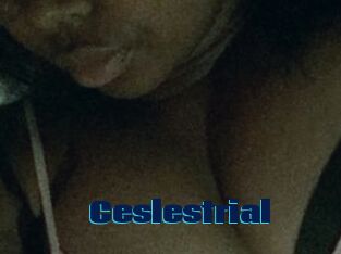 Ceslestrial