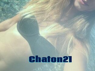 Chaton21