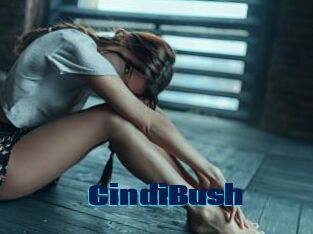 CindiBush