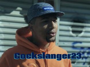 Cockslanger23