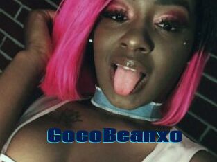 CocoBeanxo
