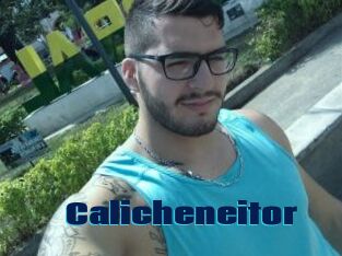 Calicheneitor