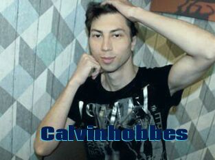 Calvinhobbes