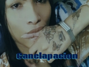Canelapacion