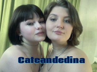Cateandedina
