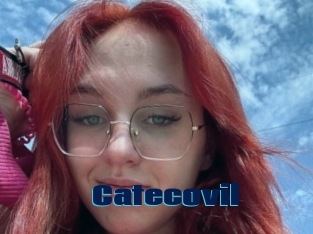 Catecovil