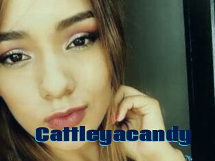 Cattleyacandy