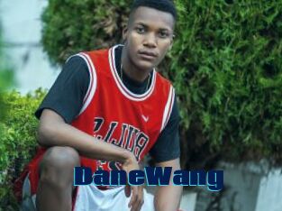DaneWang