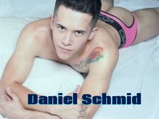 Daniel_Schmid