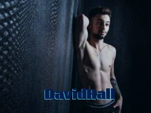 DavidHall