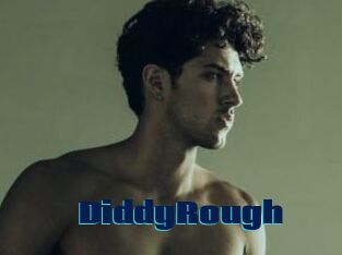 DiddyRough