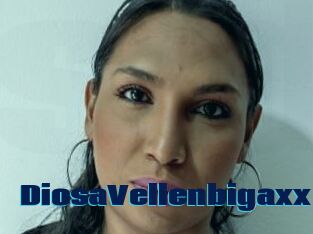 DiosaVellenbigaxx