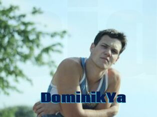 DominikYa
