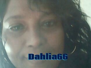 Dahlia66