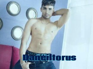 Daneil_torus