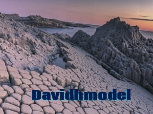 Davidhmodel