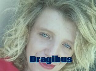 Dragibus