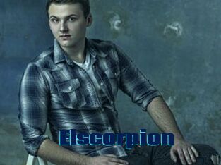 Elscorpion