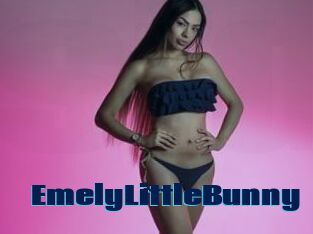 EmelyLittleBunny