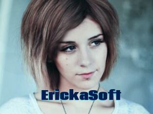 ErickaSoft