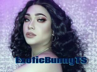 ExoticBunnyTS
