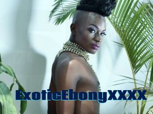 ExoticEbonyXXXX