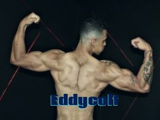 Eddycolt