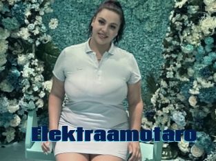 Elektraamotaro