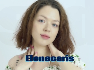 Elenecaris
