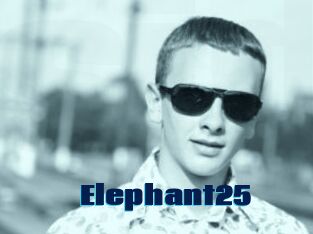 Elephant25