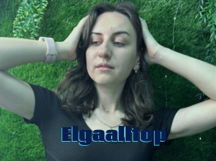 Elgaalltop