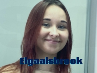 Elgaalsbrook