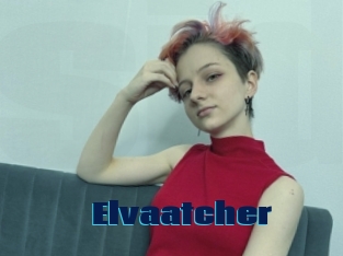 Elvaatcher