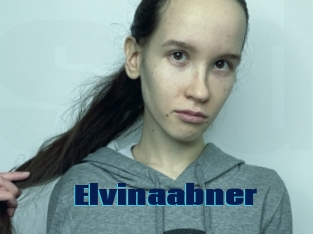 Elvinaabner