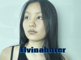 Elvinaborer