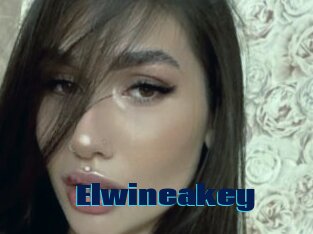 Elwineakey