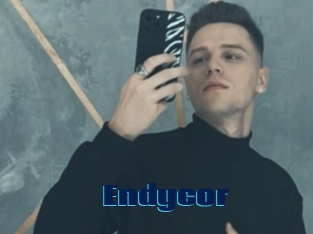 Endycor
