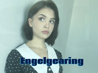 Engelgearing
