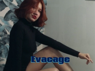 Evacage
