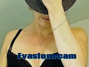 Evastonecam
