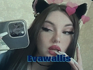 Evawallis