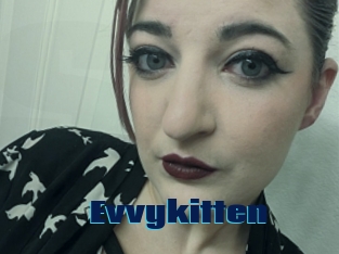 Evvykitten