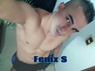 Fenix_S