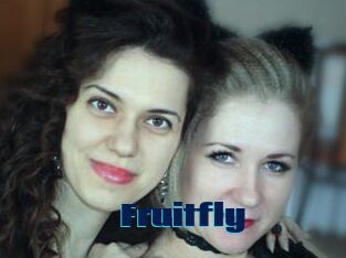 Fruitfly